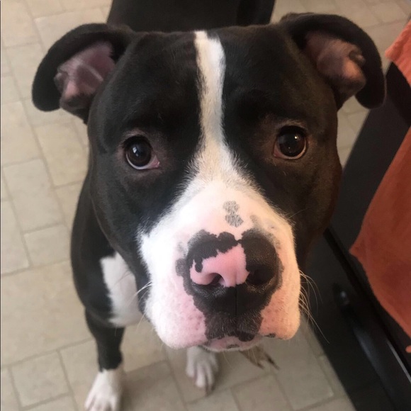 Meet your Posher, Melanie - Picture 1 of 1